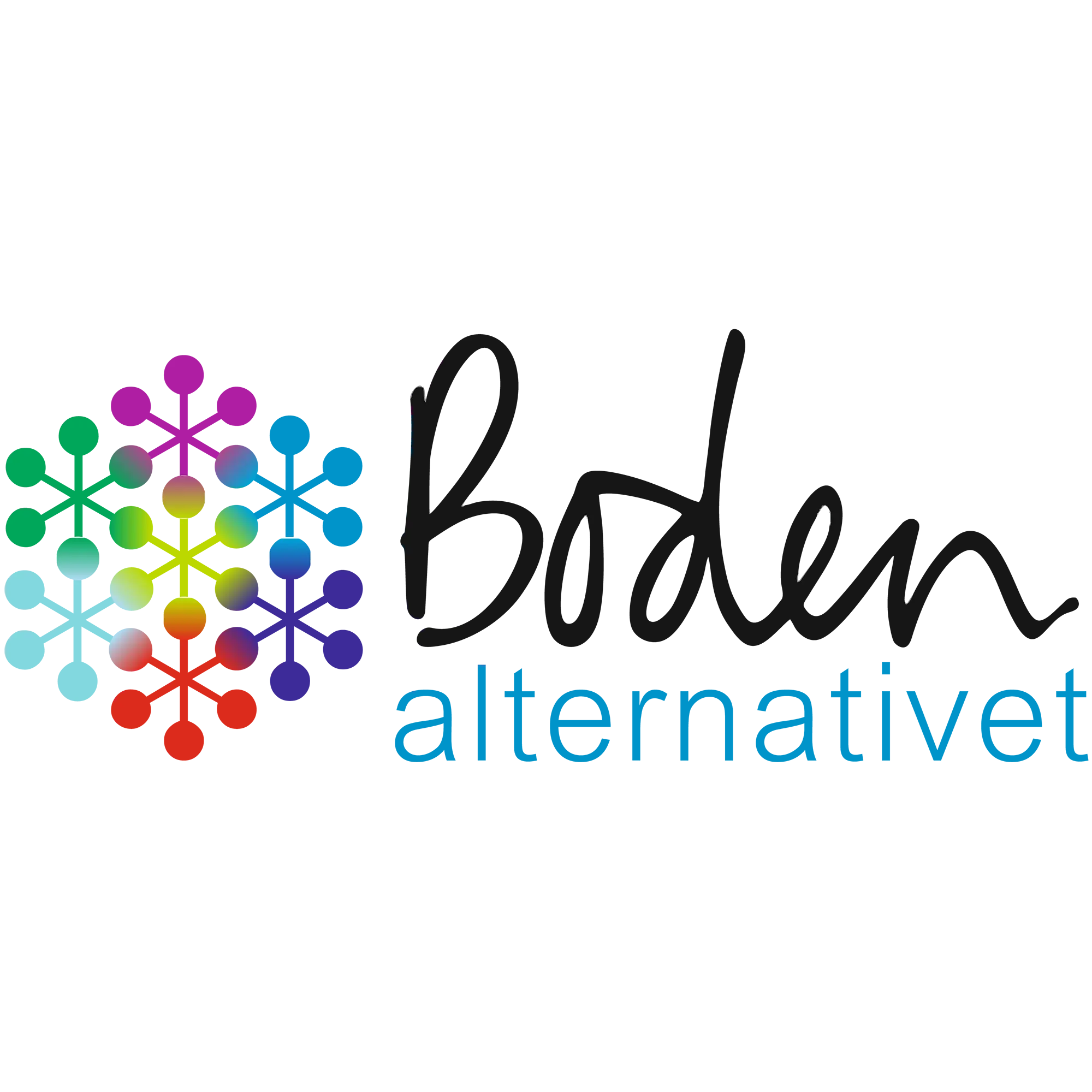 Boden Alternativet